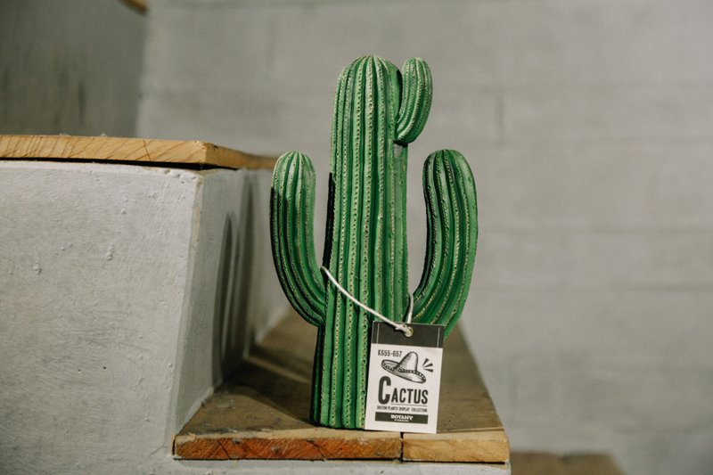Dulton Type E 仙人掌 - 摆饰 - 塑料 绿色