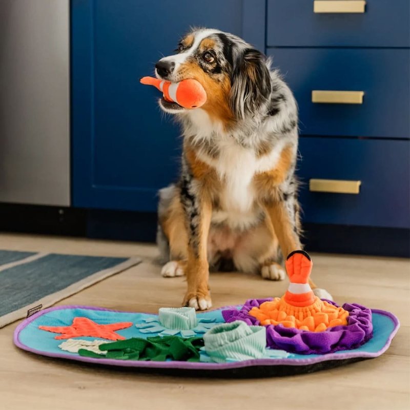 【P.L.A.Y.新款嗅闻垫】宠物陪伴、抗忧郁玩具 3款造型 - 玩具 - 环保材料 