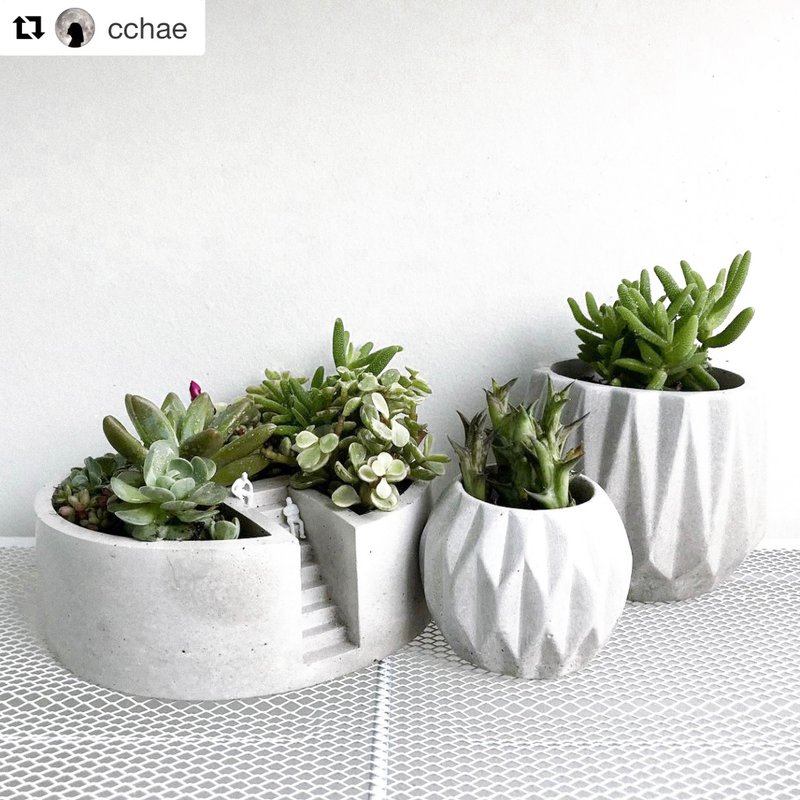 4 Dimension Pot 8 cm. - 植栽/盆栽 - 水泥 灰色