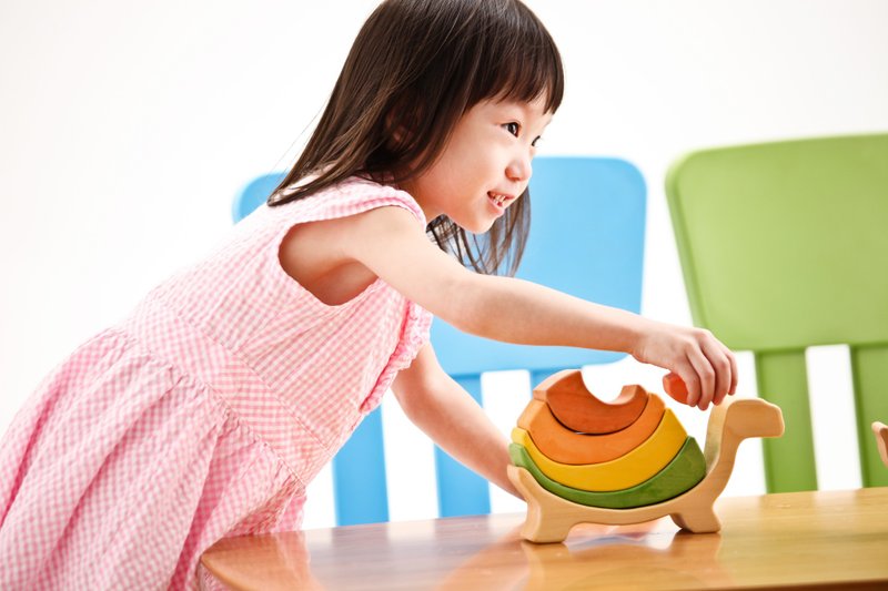 金字塔系列 乌龟玛莉 - 玩具/玩偶 - 木头 多色