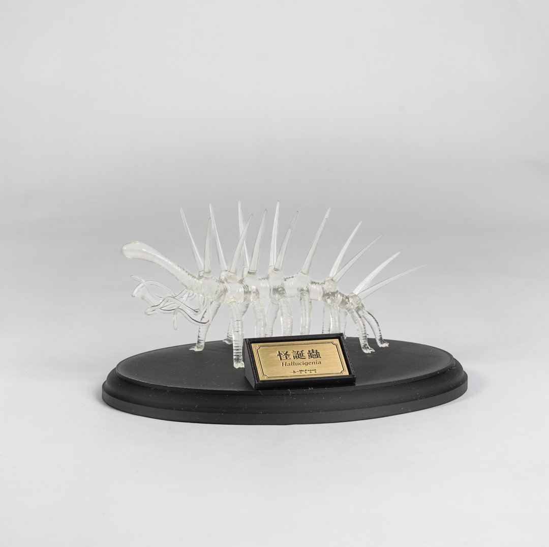 古生物 3D 打印模型 - 怪诞虫 (预购)(请选宅配) - 其他 - 树脂 透明