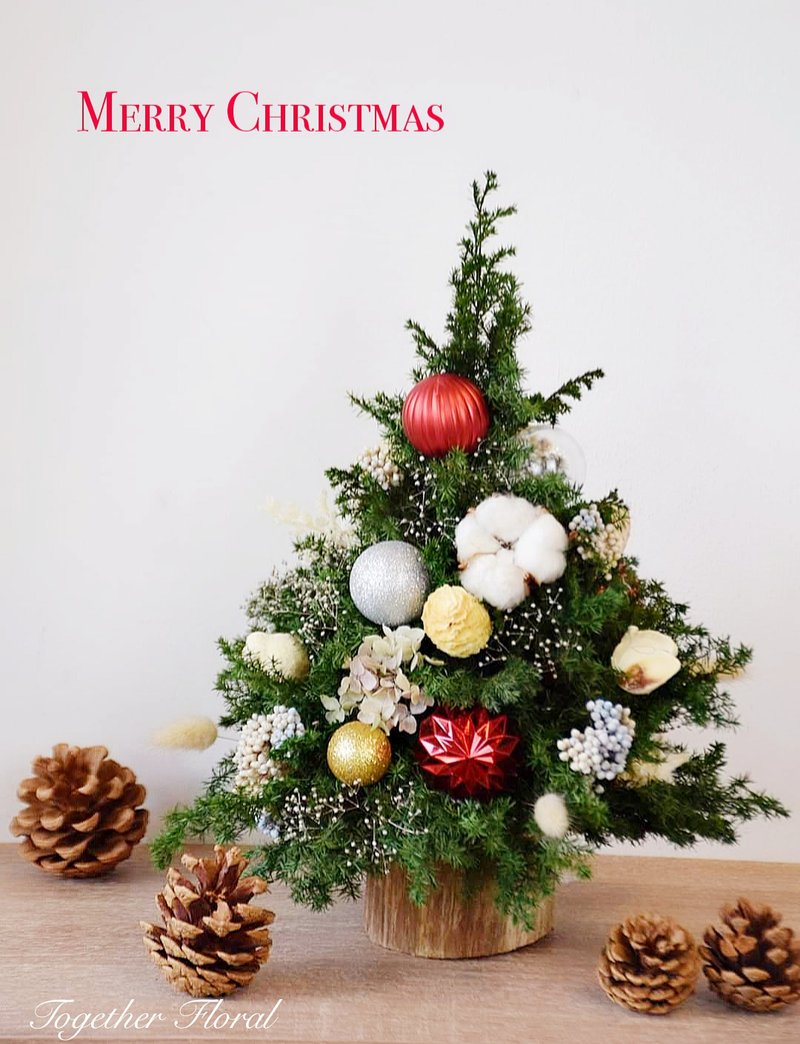 永生雪松圣诞树 - 干燥花/捧花 - 植物．花 