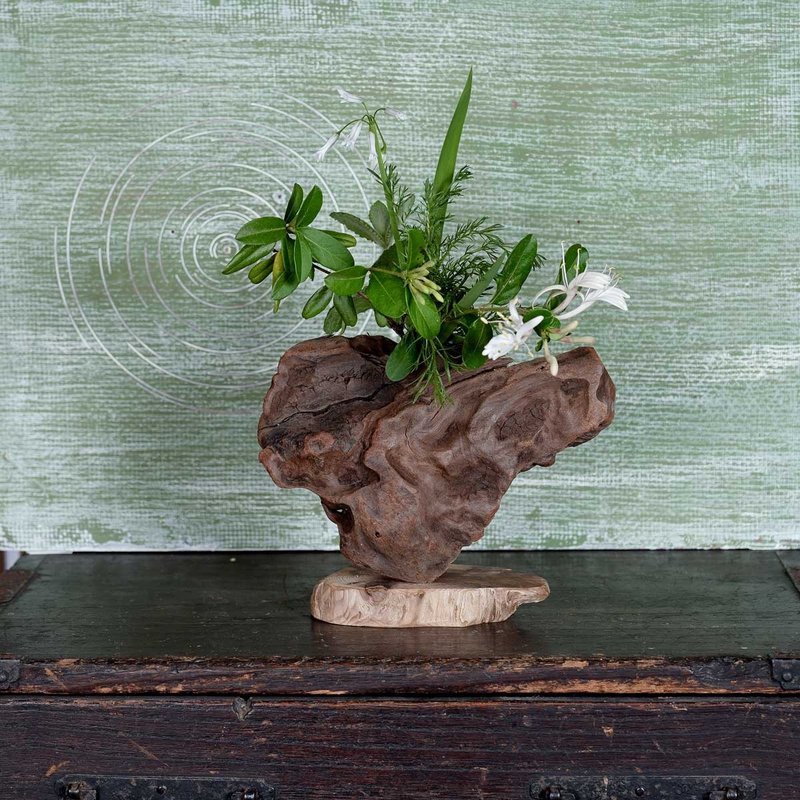 何不使用您最喜欢的时令花痴来装饰您的空间并营造愉快的氛围？浮木花瓶，木制花瓶，花瓶，小花瓶，98 - 花瓶/陶器 - 木头 咖啡色