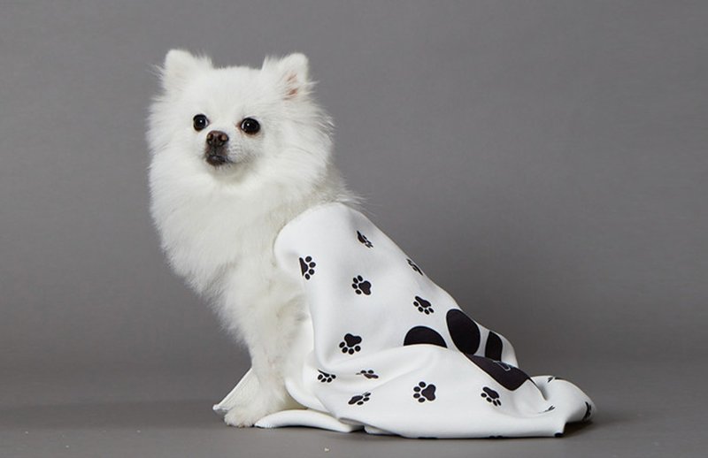 免困【#包邮 PET IN BEAUTY 韩国 超舒适 超细纤维浴巾】 - 毛巾浴巾 - 聚酯纤维 多色