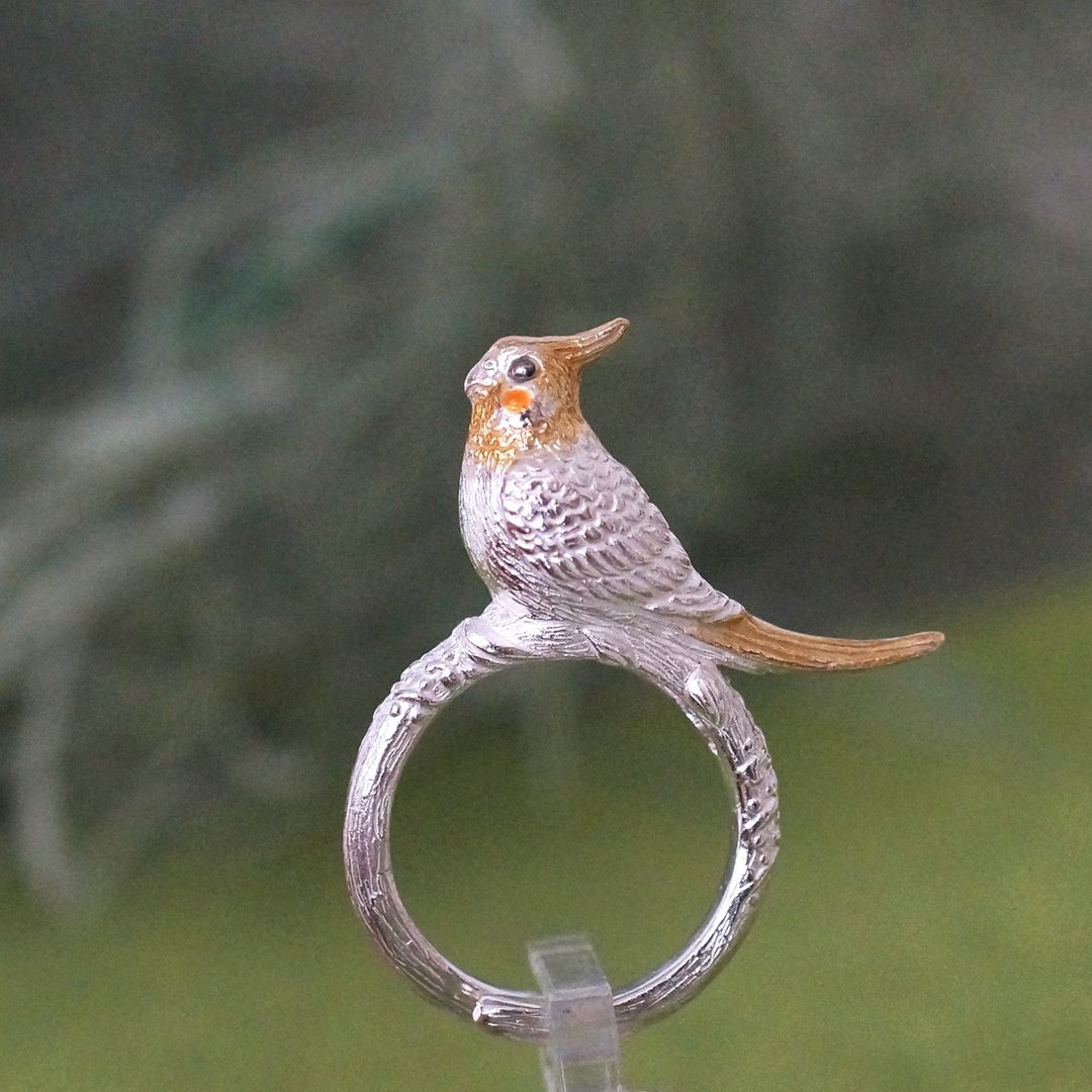 Hand-riding cockatiel ring - 戒指 - 其他金属 银色