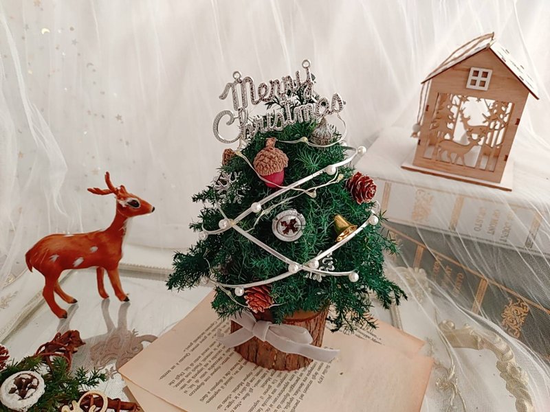 蓝芯花艺 经典雪松圣诞树 圣诞礼物 交换礼物 圣诞节 圣诞礼盒 - 植栽/盆栽 - 植物．花 绿色