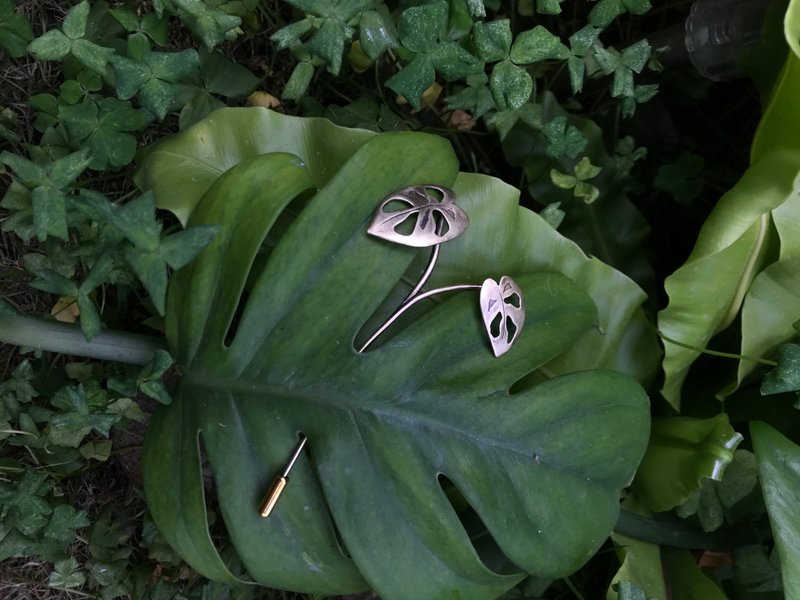 黄铜植物别针 窗孔龟背芋 - 胸针 - 铜/黄铜 金色