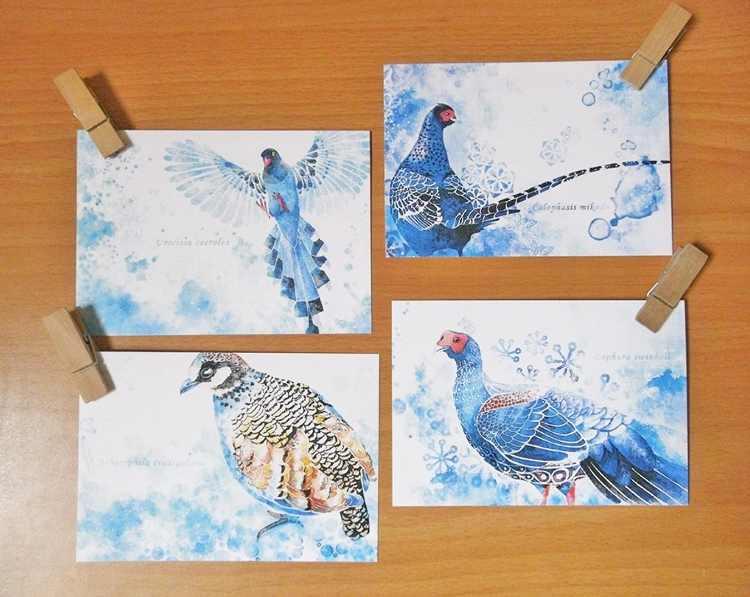 台湾之鸟 台湾特有种/单面明信片postcard - 卡片/明信片 - 纸 