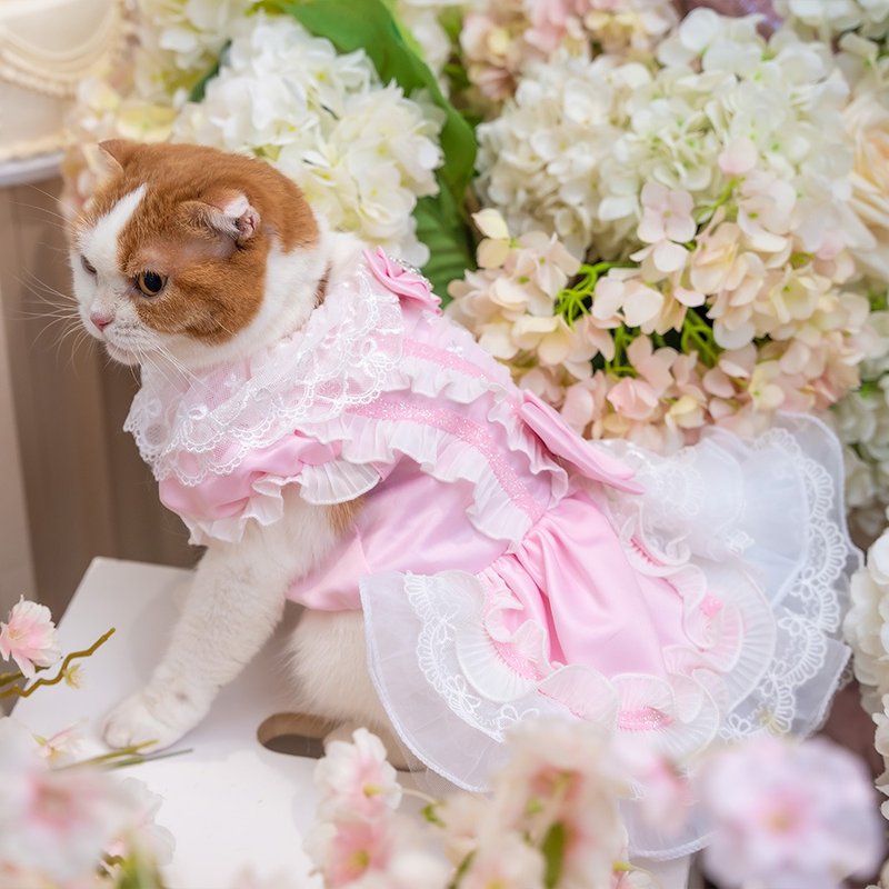 粉红古典裙 - 衣/帽 - 聚酯纤维 