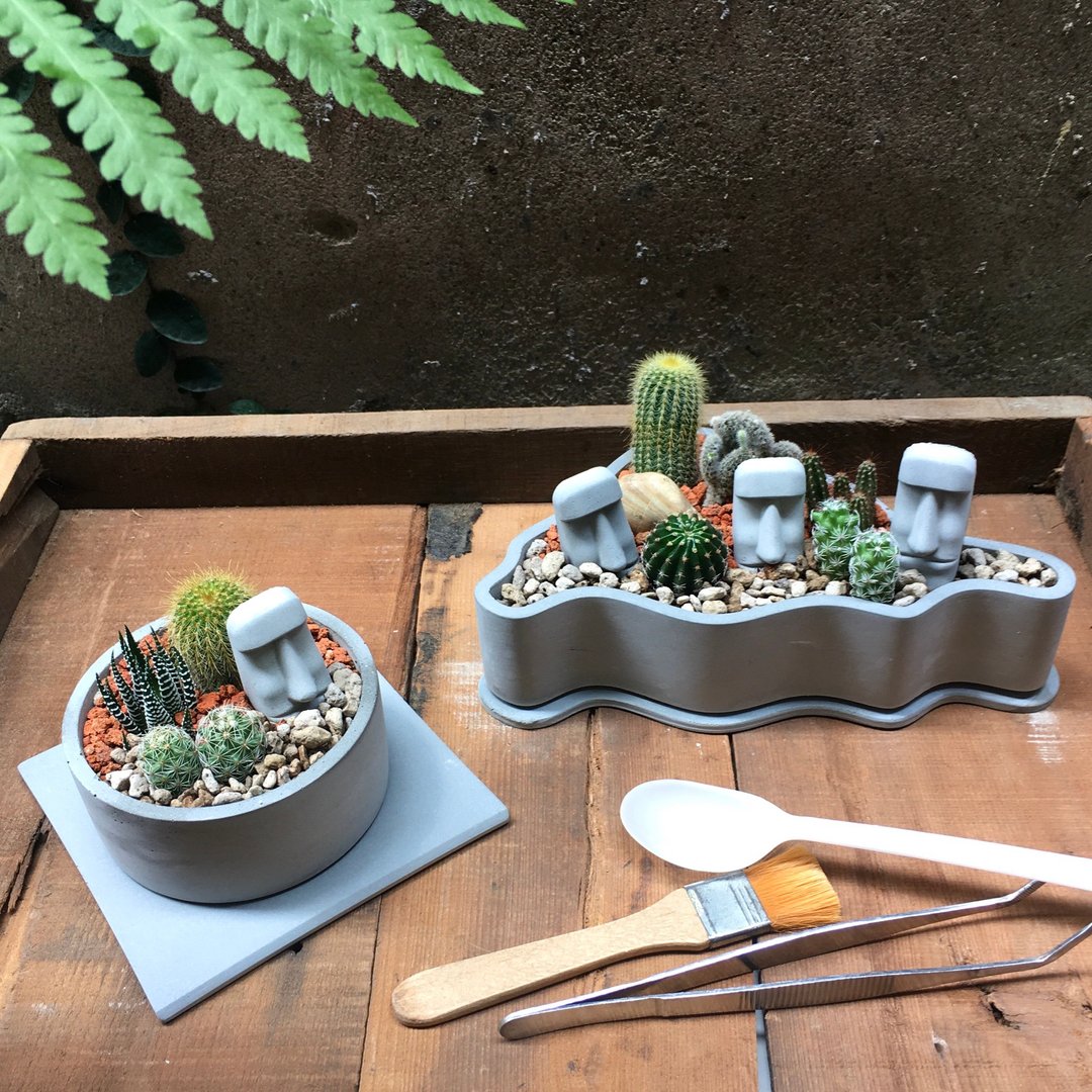 【摩艾控专属DIY】摩艾绿意花园+摩艾岛屿+工具 仙人掌造景盆栽 - 植栽/盆栽 - 水泥 灰色