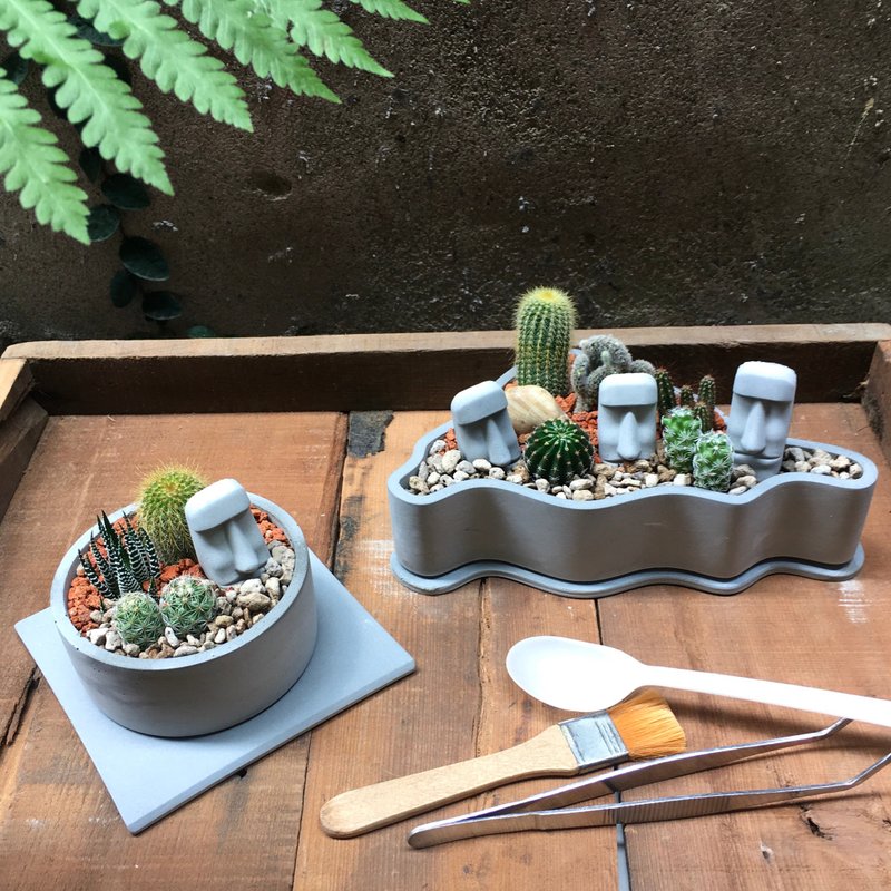 【摩艾控专属DIY】摩艾绿意花园+摩艾岛屿+工具 仙人掌造景盆栽 - 植栽/盆栽 - 水泥 灰色