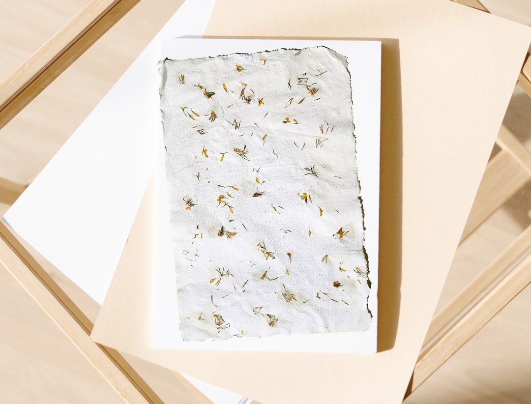 Original pressed flower art Handmade paper Botanical decor Dried plant artwork - 海报/装饰画/版画 - 纸 白色