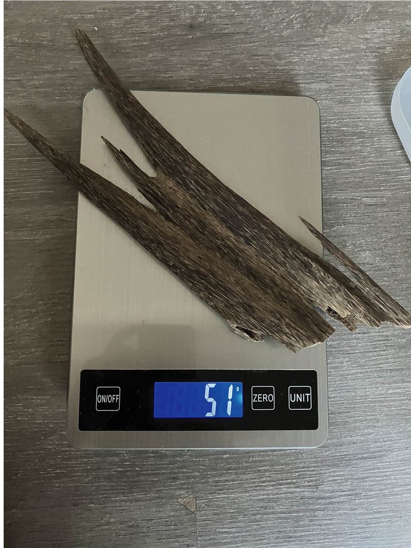 【稀少款】野生北干达鲁沉香摆件-树心油沉香(内可挑造型) - 摆饰 - 木头 