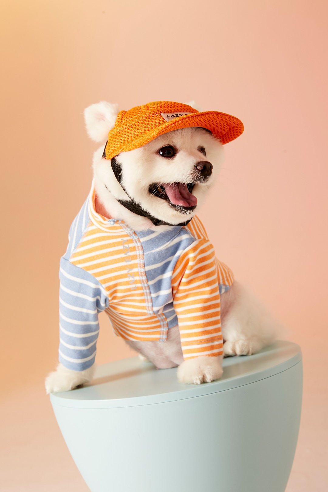 宠物条纹拼接上衣 小型犬 猫咪 加厚保暖 - 衣/帽 - 聚酯纤维 多色