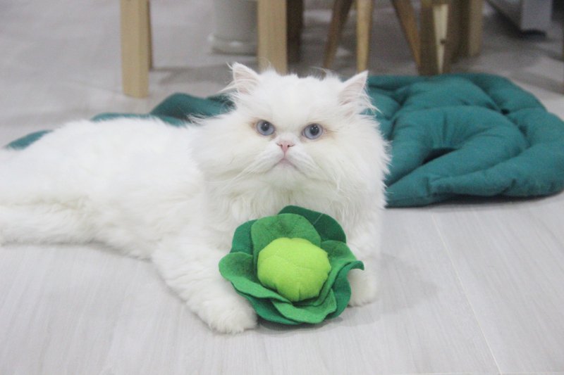 Cabbage Catnip Toys | Cat Toys | Catnip Toys | Vegetable Catnip Toys | Pet Toys - 玩具 - 其他材质 