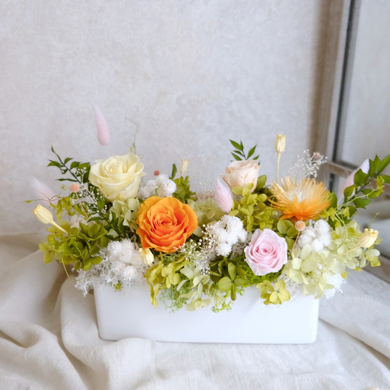 【永生花盆花】永生花/开幕盆栽/橘色/绿色/黄色/贺升迁 - 植栽/盆栽 - 植物．花 橘色