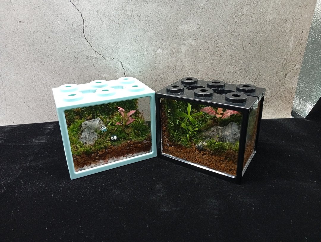 【苔疗愈】生态积木盒DIY材料包/母亲节礼物 - 植栽 - 塑料 透明