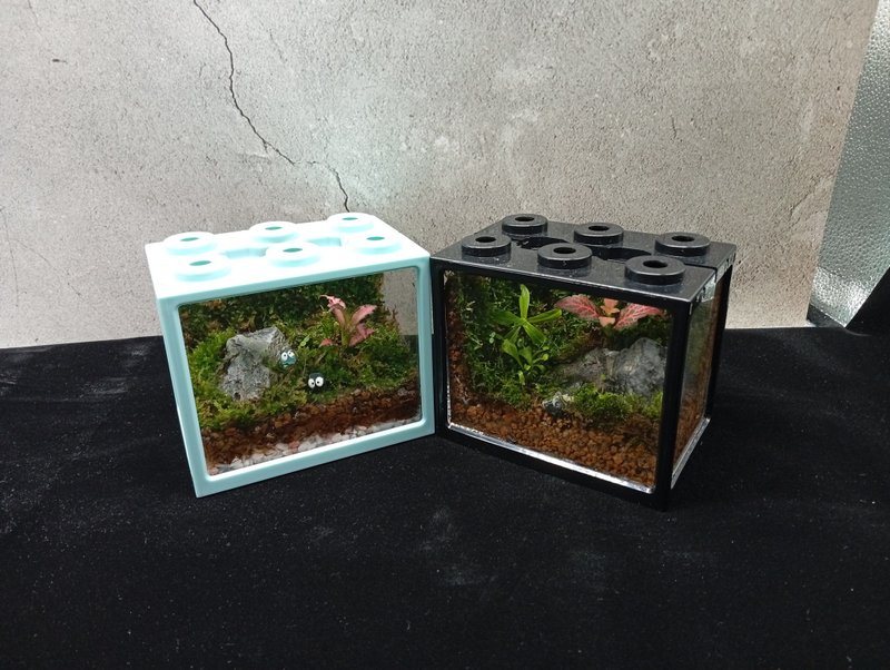 【苔疗愈】生态积木盒DIY材料包/母亲节礼物 - 植栽 - 塑料 透明