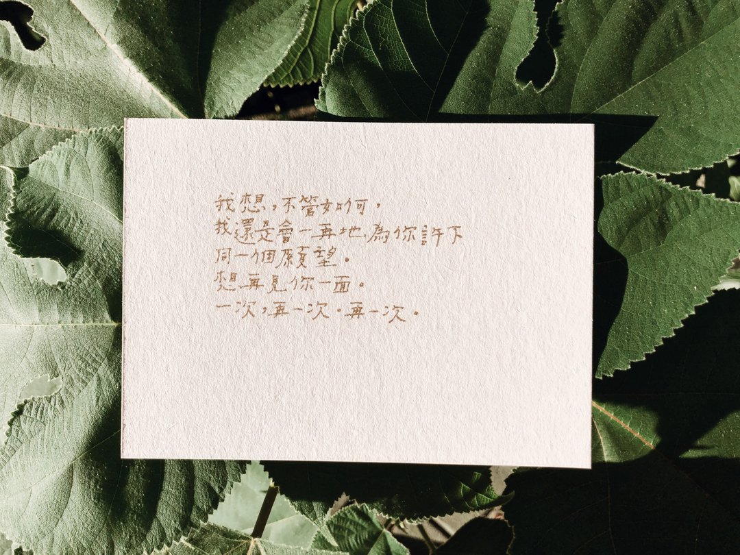 荒凉手记。同一个愿望 文字明信片 青青的岛 - 卡片/明信片 - 纸 