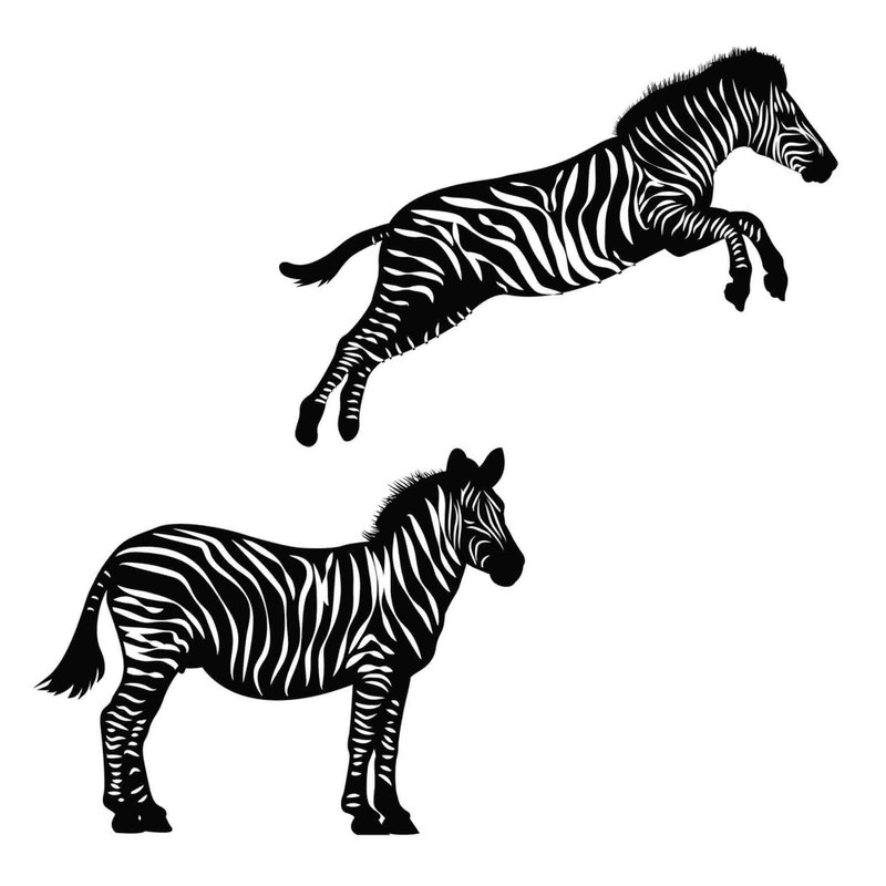 Zebra svg, zebra eps, zebra png, zebra template, zebra cut file, zebra cutout - 图文模板设计 - 其他材质 