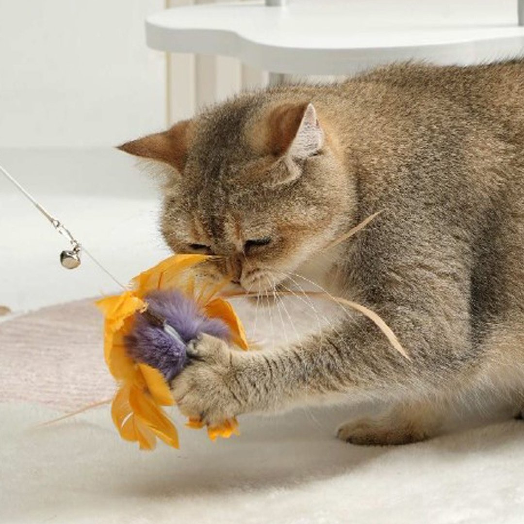撩猫神器/可伸缩/可替换 | 手工逗猫棒-波斯菊 Pawsholic爪迷 - 玩具 - 其他材质 