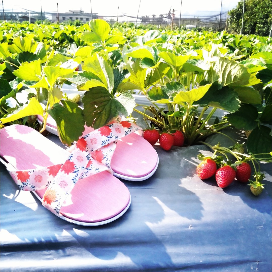 亲肤减压轻量舒适 / 台湾手作室内拖鞋 l 花辰月夕 / 粉色底 - 室内拖鞋 - 聚酯纤维 