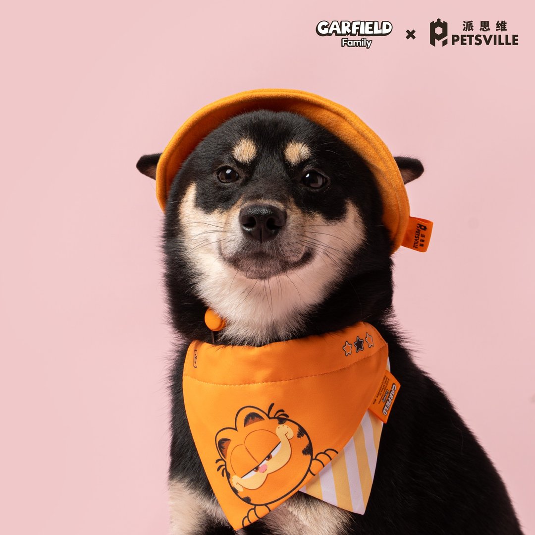 【Petsville派思维x加菲猫】加菲宠物套装(共3款) - 衣/帽 - 其他材质 多色