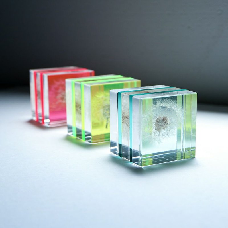 Sola cube Slice 萤光观赏断层块 (共3色) - 摆饰 - 植物．花 透明