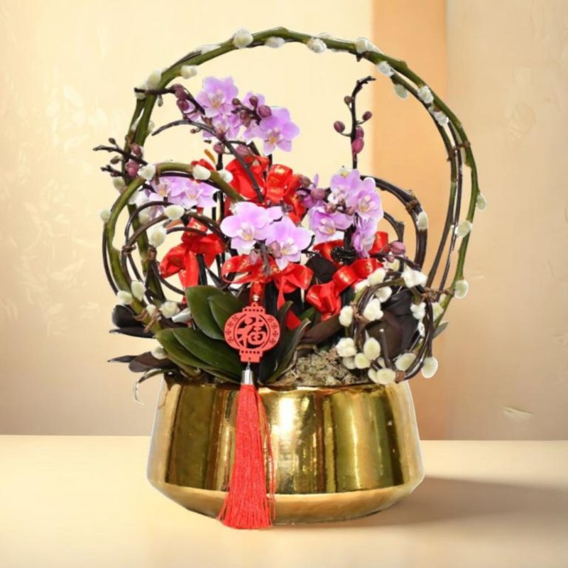 格兰花店 - 新年祝福 迷你小粉花蝴蝶兰5棵 (GF00026) - 植栽/盆栽 - 植物．花 