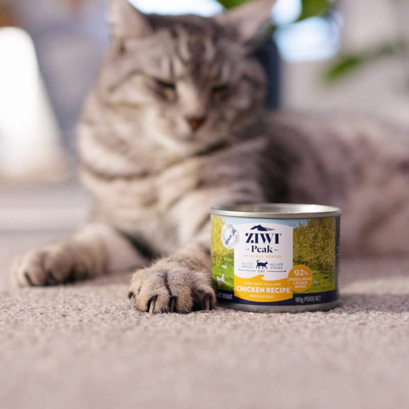 【猫主食罐】ZIWI巅峰 鸡肉 经典系列 猫罐 无榖无胶 肉泥 - 猫罐头/鲜食 - 新鲜食材 
