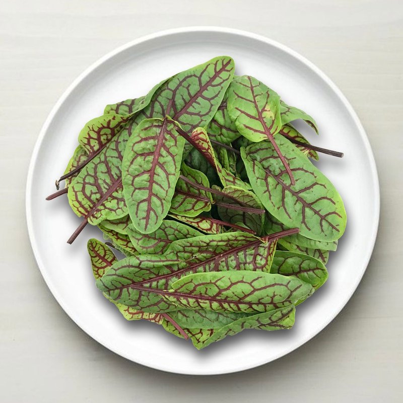 【红酸模】香料生菜 / 宅配 / 水耕 / (两盒入/60g) - 其他 - 新鲜食材 红色
