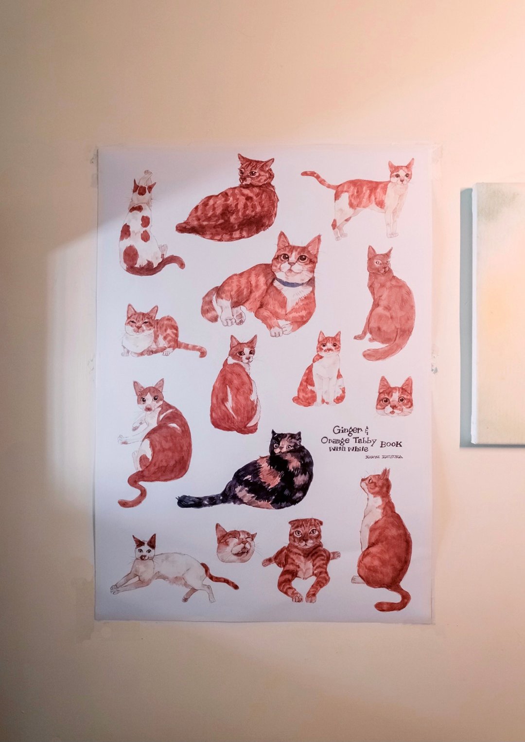 橘子与姜姜 橘猫图鉴海报  喂喂三花猫不算橘猫吧 - 海报/装饰画/版画 - 纸 