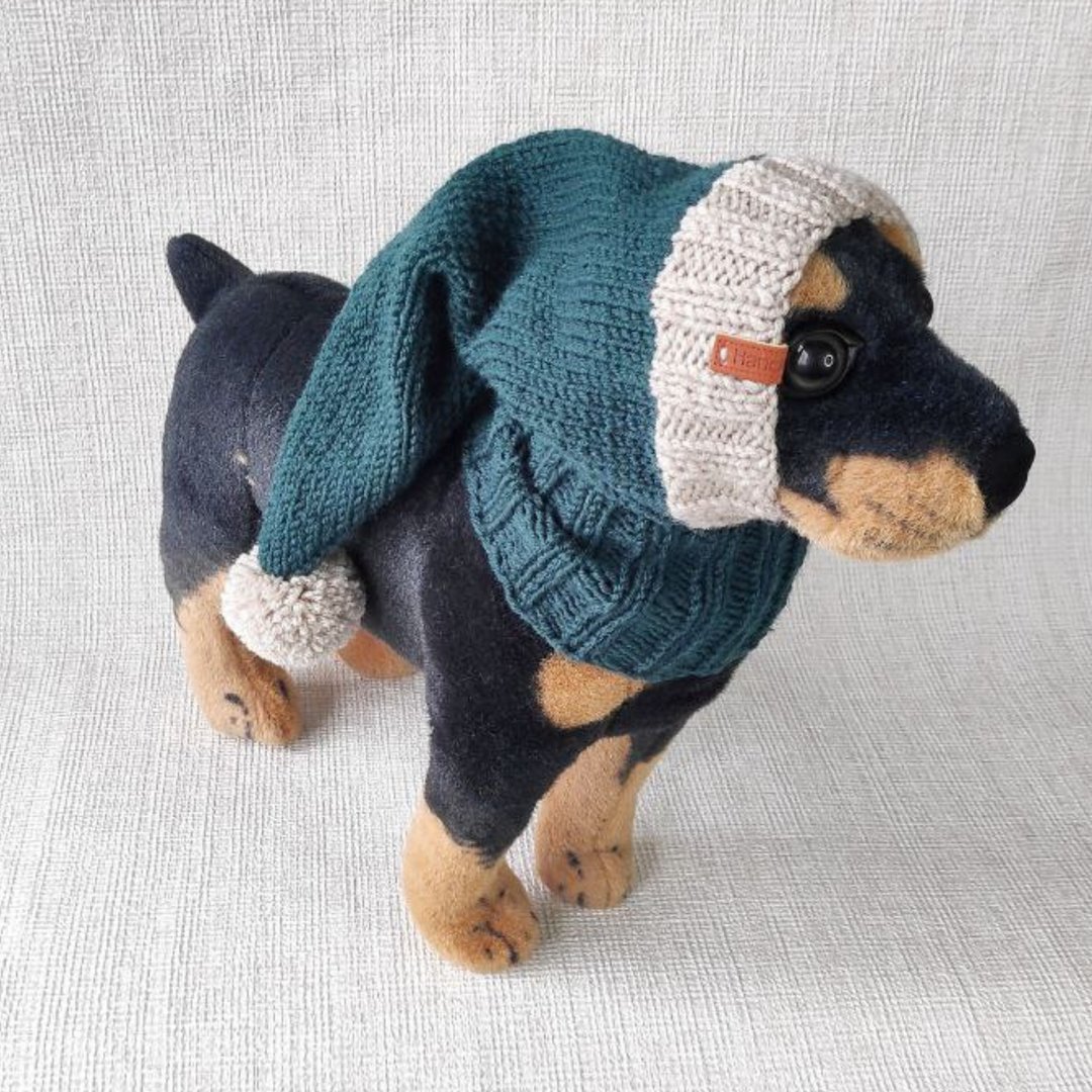 Hat for dog - 衣/帽 - 羊毛 绿色