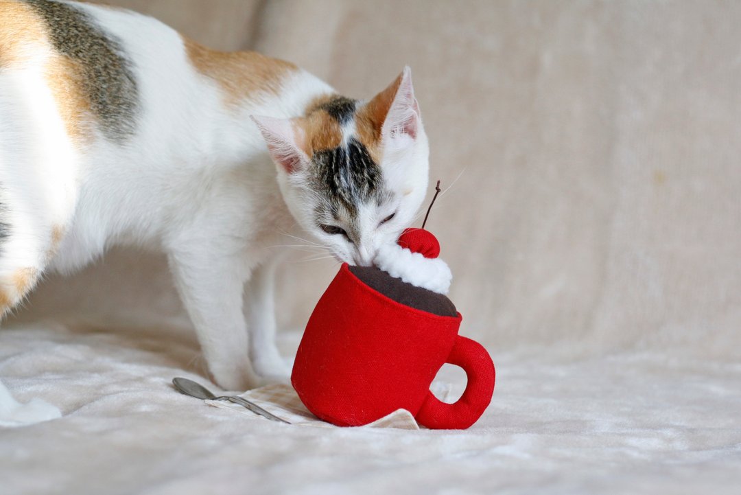 暖心可可 热巧克力 猫草包 猫玩具 可填充重复用 - 玩具 - 其他材质 多色