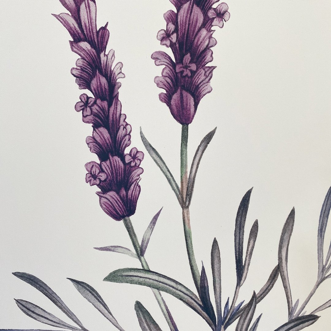 【微瑕特惠】【福利品】紫色浪漫薰衣草 - 手绘感薰衣草挂画/房间 - 海报/装饰画/版画 - 棉 多色