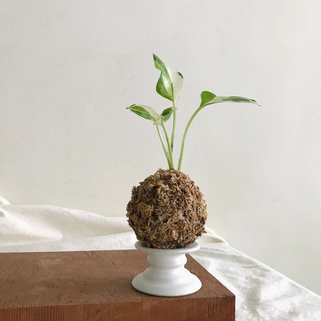 Déjà vu ceramics 陶瓷白色矿石苔球蜡烛展示台 - 蜡烛/烛台 - 陶 白色