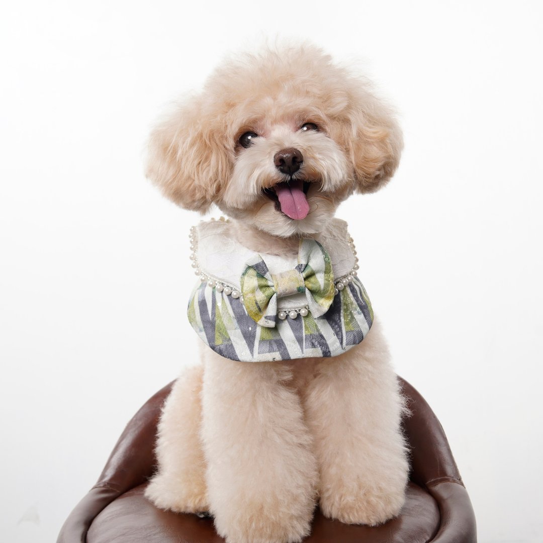 宠裳羽衣 Doggie Doki - 唐妮系列围巾 - 衣/帽 - 棉．麻 橘色