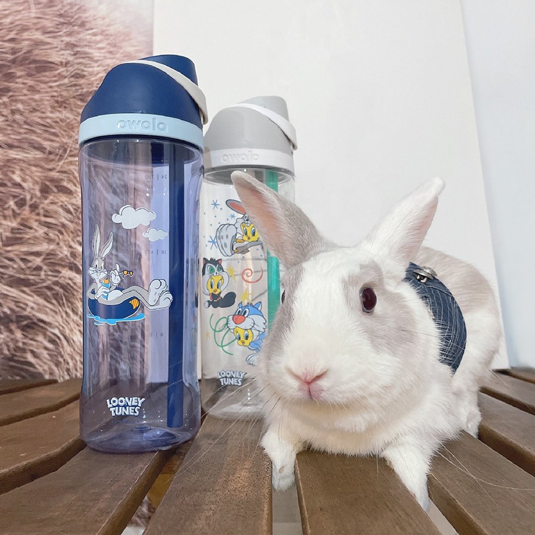 Owala 乐一通系列 | Freesip Tritan弹盖可拆式吸管运动水壶740ml - 水瓶/水壶 - 环保材料 多色