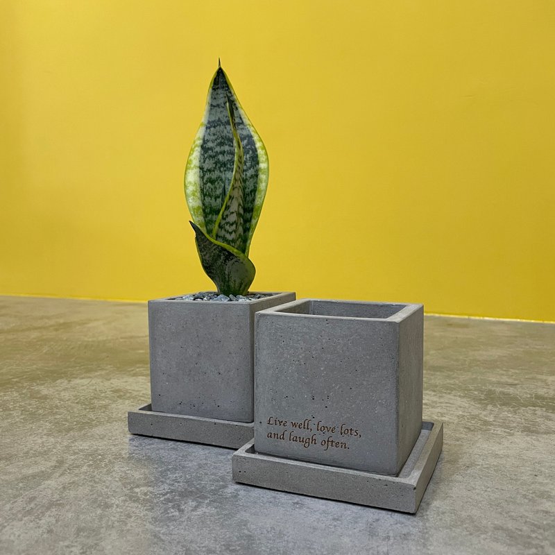 水泥制 心境 励志 盆器 容器 花器 笔筒 收纳 - 花瓶/陶器 - 水泥 灰色