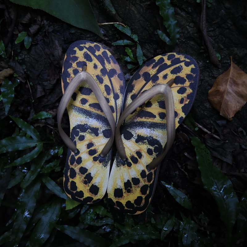 白裳貓蛺蝶 豹紋蝶 蝴蝶 人字拖鞋 夹脚拖 礼物 女款 男款 - 拖鞋 - 橡胶 金色