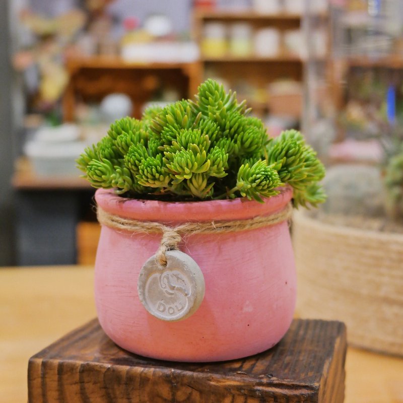 豆豆手工泥盆-手感随创系列-大淘罐_红 - 植栽/盆栽 - 水泥 红色