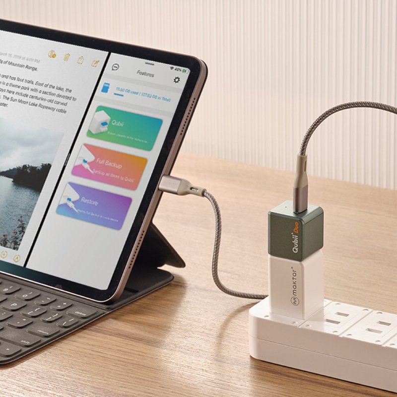 Maktar QubiiDuo USB-C 夜幕绿 【 大全配 】 备份豆腐 充电备份 - U盘 - 塑料 绿色