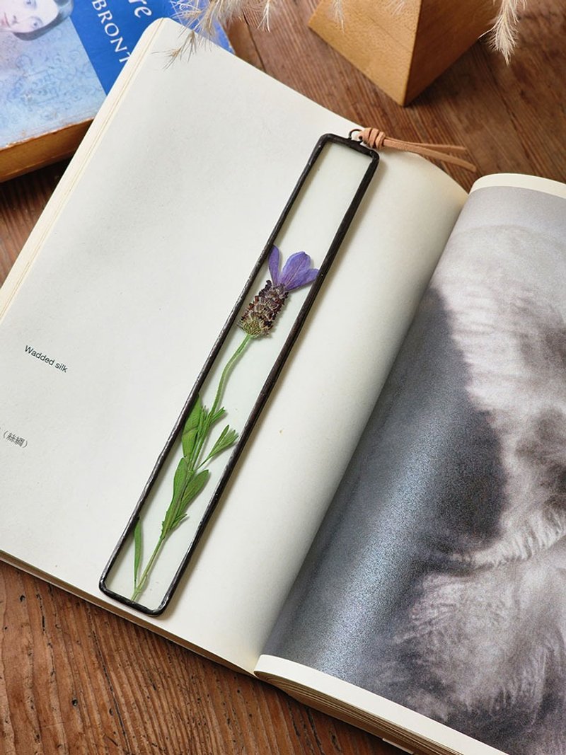 植物图鉴∣西班牙薰衣草∣玻璃镶崁∣花草标本书签 - 书签 - 植物．花 白色