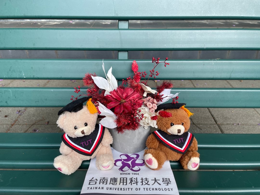 TUT毕业小熊 - 玩偶/公仔 - 棉 多色