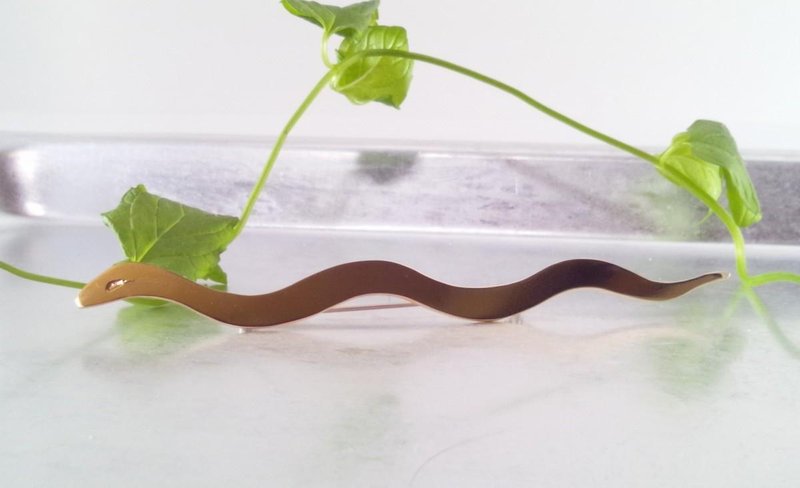 God snake brass brooch - 胸针 - 其他金属 