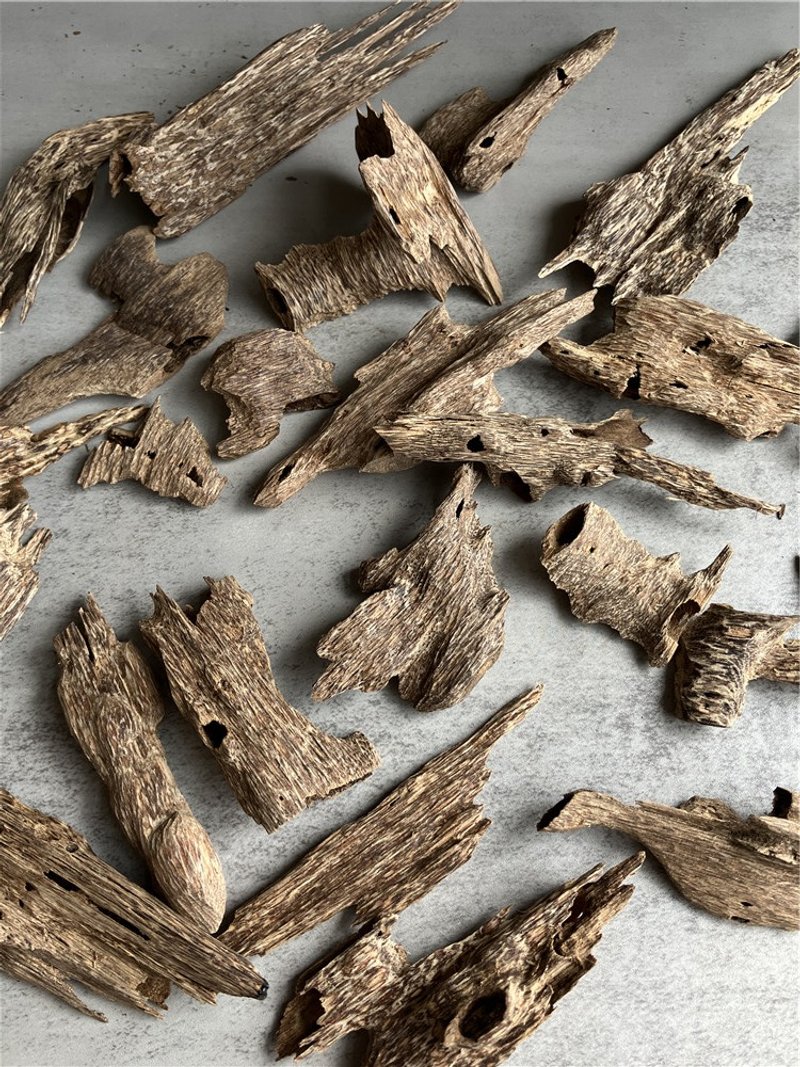 【上炉小料】【稀少款】野生加里曼丹沉香虫漏(随机十克) - 香薰/精油/线香 - 木头 