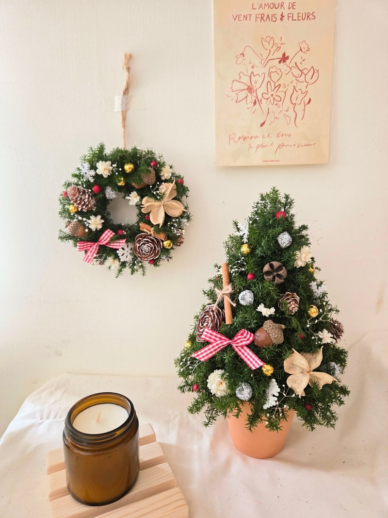 永生雪松圣诞树盆栽 - 干燥花/捧花 - 植物．花 