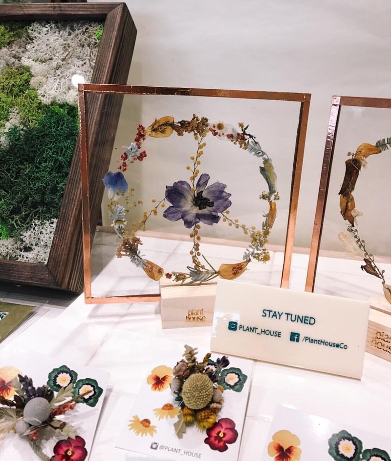Peace Pressed flowers- Plant House - 画框/相框 - 植物．花 多色