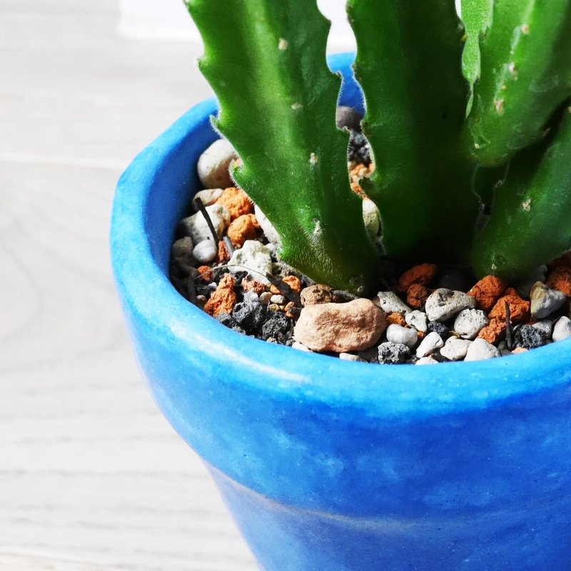 【冷瓷盆栽】深蓝/天然材料/手工制作 - 植栽/盆栽 - 其他材质 