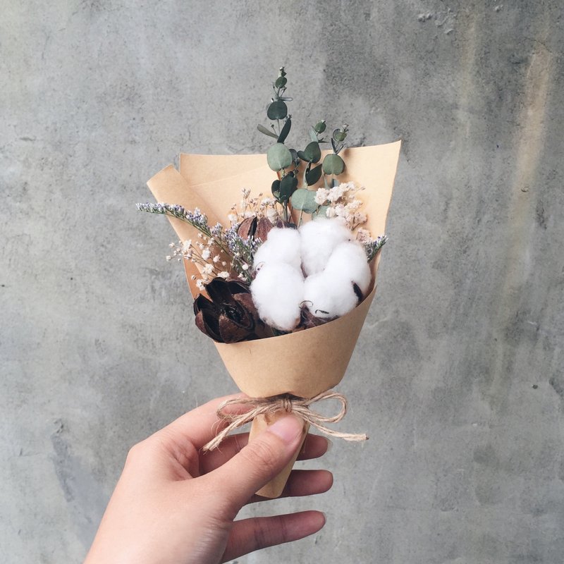 棉花 干燥花束 毕业花束 - 植栽/盆栽 - 植物．花 多色